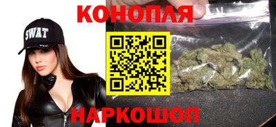 Альфа ПВП Новозыбков