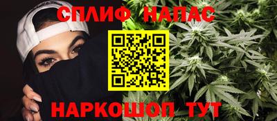 Альфа ПВП Новозыбков