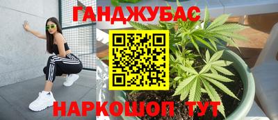 Альфа ПВП Новозыбков