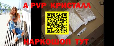 СК Новокубанск