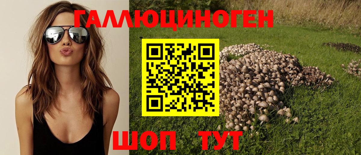 Тайшет  Псилоцибиновые грибы прущие грибы  Вход с VPN 