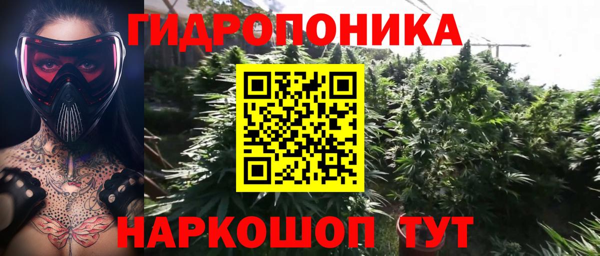 Бошки Шишки VHQ  Бошки марихуана OG Kush  Вход с VPN  Тайшет 